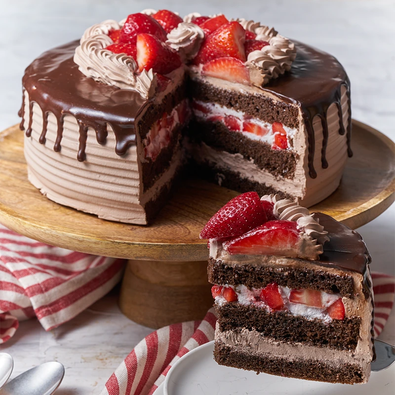 [020010010010013] CHOCOFRESAS